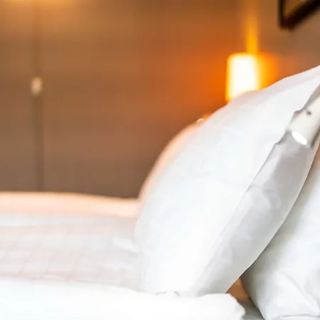 凯米斯堪迪酒店 酒店 4*