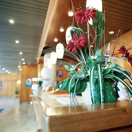 酒店 凯米斯堪迪酒店 凯米